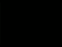 Animal sex video of beastiality lover